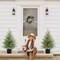 3FT Pre-Lit Artificial Norfolk Pine Christmas Tree (Green) 18"D x 18"W x 36"H
